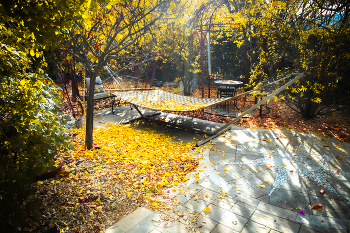 Osennjaja pesnja / .....