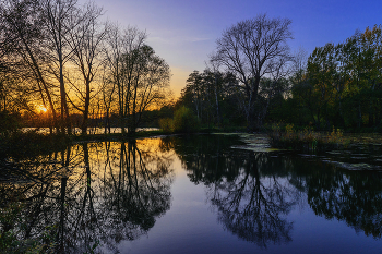 Autumn evening / ***