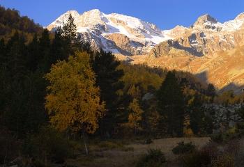 Morning in the mountains / ***