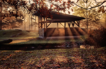 Rays / ***