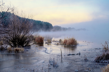 Frosty morning. / ***
