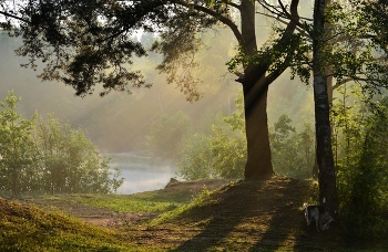 Morning at the lake / ***