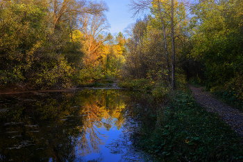 Old pond ... / ***