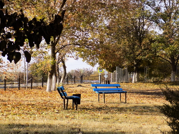 In the fall the park ... / ***