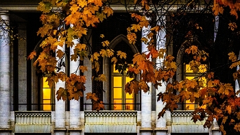 Autumn in the city / ***