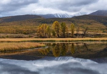 Golden Autumn / ***