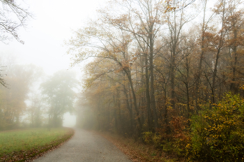 Autumn in the city / ...