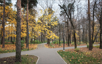 In the fall the park ... / ***