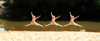 Flight / ***