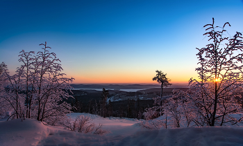 Pink morning / ***