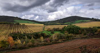Autumn / ***