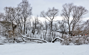 Winter landscape / ***