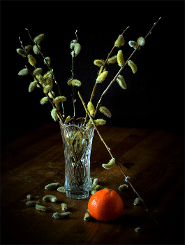 Spring and autumn / ***