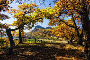 Autumn / ***