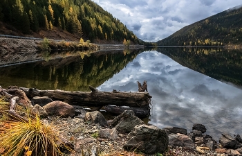 Morning on the lake / ***