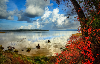 On Angara / ***
