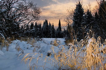Winter evening. / ***