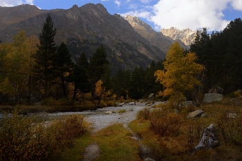 Sunset in the mountains / ***