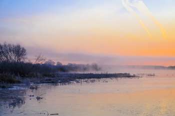 Frosty morning. / ***