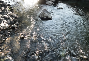 Creek / ***