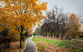 In the fall the park ... / ***