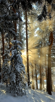 Good morning / ***