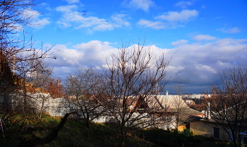 Light and shadow / ***