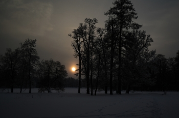 Evening / ***