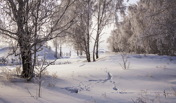 Footprints / ***