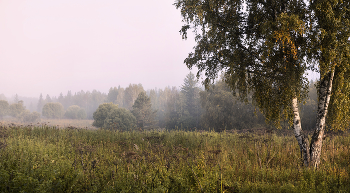 In August ... / .....