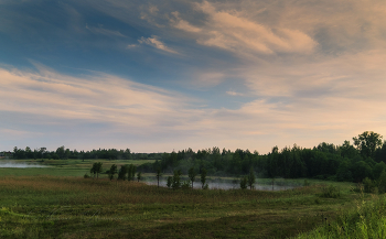 At the lake in the woods / ***