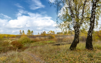 pensive Autumn / ***