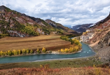 Altai autumn / ***