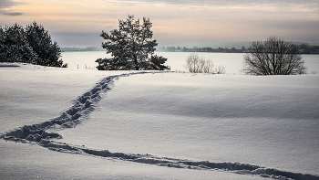 Winter trails / ***