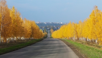 Golden Autumn / ***