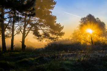 Morning in October. / ***