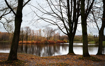 In the fall the park ... / ***