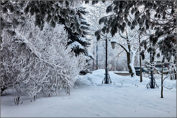 Graphics winter. / ***