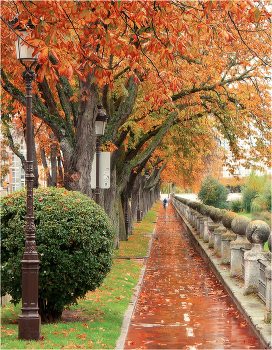 Autumn alley / * * *