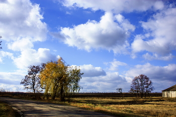 Field / ***