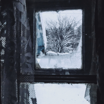 Life around / ***