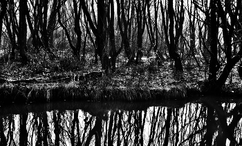 Fog dissipates / ***