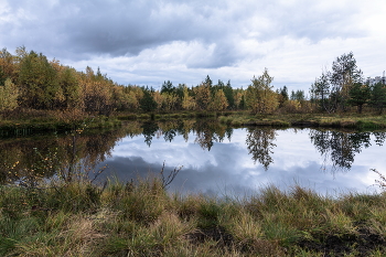 autumn reflection / ***