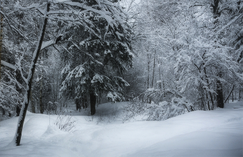 covered with snow ... / ***