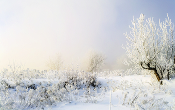 New Year's Eve / ***