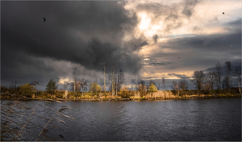 St. Petersburg autumn / ***