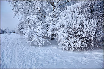 Happy New Year! / ***