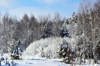 Happy New Year! / ***