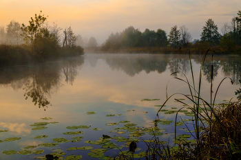Morning in October. / ***
