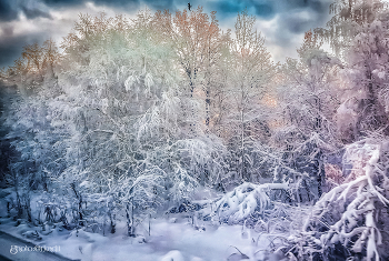 Happy New Year! / ***